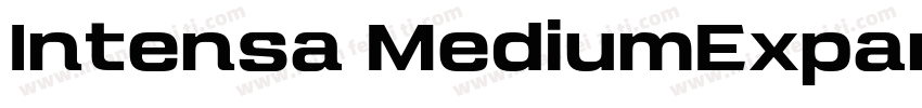 Intensa MediumExpanded字体转换